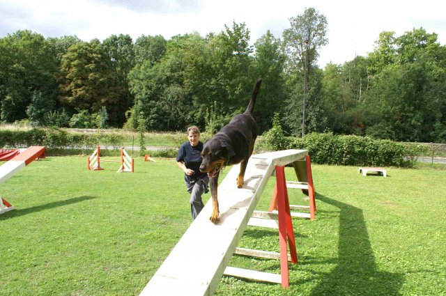 agility 2011-07-24